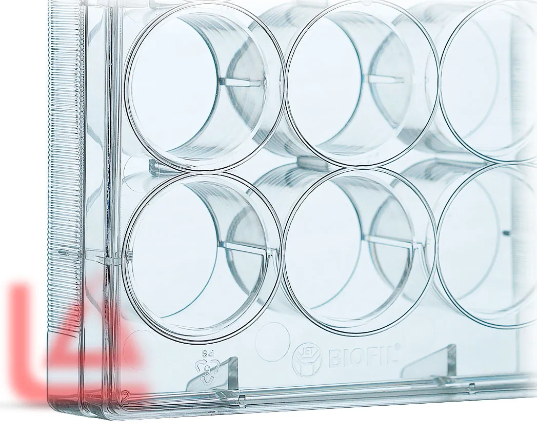 پلیت کشت بافت 12 چاهکی ته صاف با سطح بچسب، مورد استفاده در آزمایشکاههای زیست شناسی و ژنتیک جهت کشت سلول های بنیادی، درمانی، سرطانی، مغری، گوشت، ماهیچه، پوست، بافت مو و ...